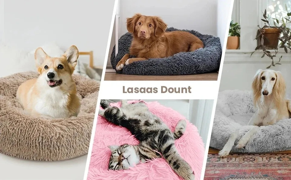 πΆπ± Round Plush Pet Bed β Warm, Washable Sofa Basket for Dogs & Cats